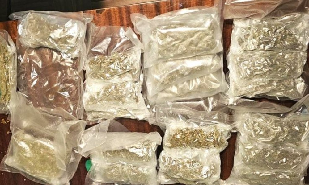 Мащабна акция в Пловдив: 94 са задържани и близо 9 килограма наркотици са иззети