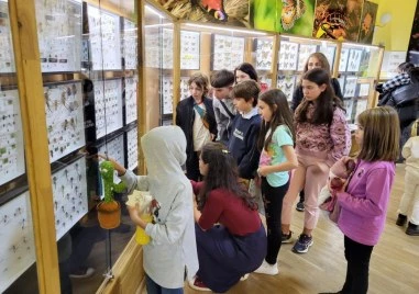 Уикенд на двукрилите в Природонаучния музей: Открийте тайните на мухите и комарите