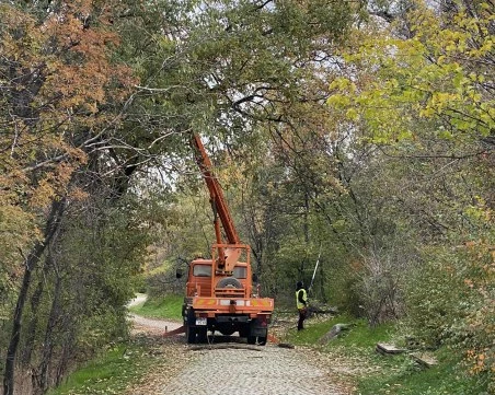 Прочистват Бунарджика и Младежки хълм от изгнилите дървета