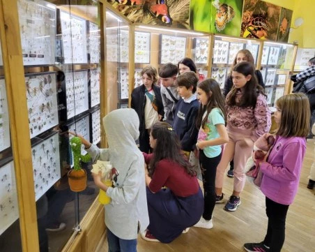 Уикенд на двукрилите в Природонаучния музей: Открийте тайните на мухите и комарите