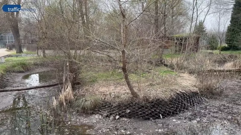 От третия път: Фирма ще прави езерото в зоопарка в Пловдив за 250 хиляди лева и 87 дни