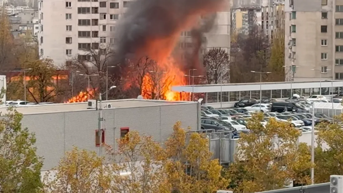 Голям пожар избухна в столичния квартал 