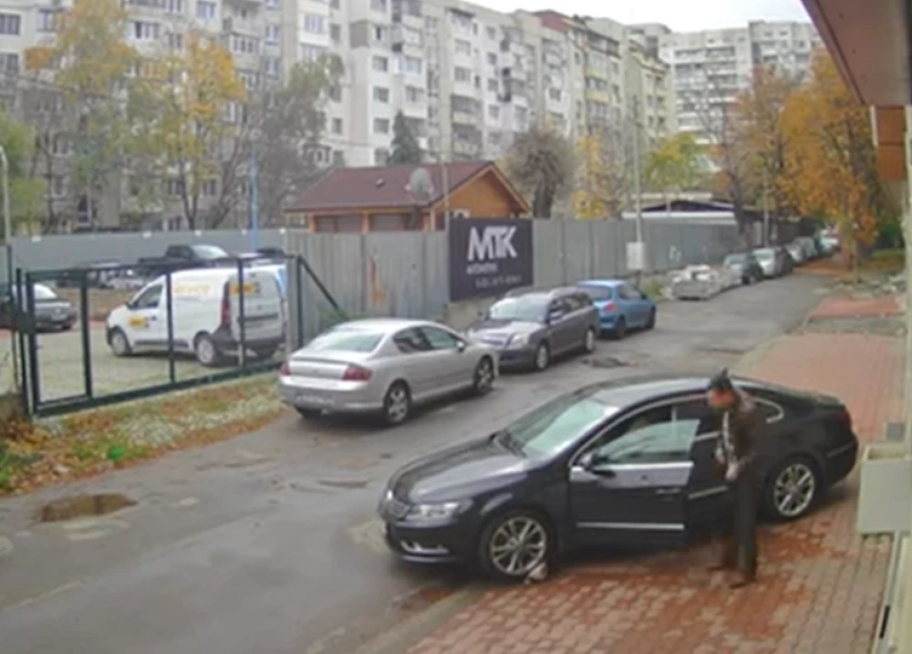 Полицията за мъжа прегазил куче в София: Каза ни, че неволно е направил маневрата