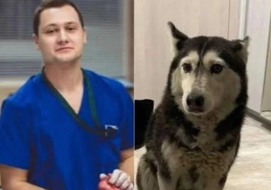 Надпис Убиец се появи на гаража на лекаря, прегазил кучето Мая в София - граждани готвят протест