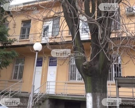 Кърлежите не заспиват! Топлото време удължава сезона им, нов случай на лаймска болест в Пловдив