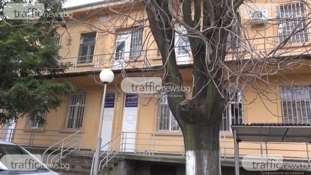 Кърлежите не заспиват! Топлото време удължава сезона им, нов случай на лаймска болест в Пловдив