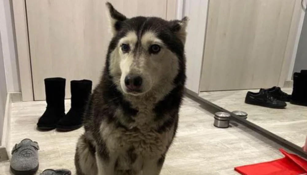 Протест под прозорците на ВМА, хора ще настояват за справедливост за Мая