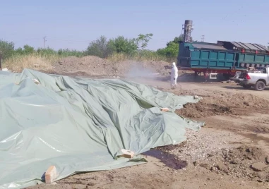 ОДБХ плаща 200 000 лв. за експертизи, които да определят компенсациите за фермерите от Пловдив