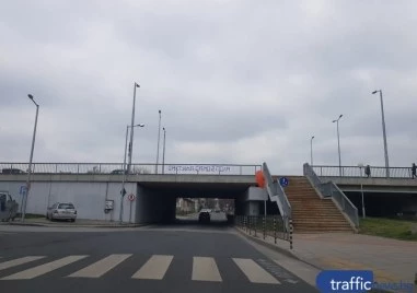 Пловдивчанка твърди, че жена опитала да хвърли кучето си от мост на Марица