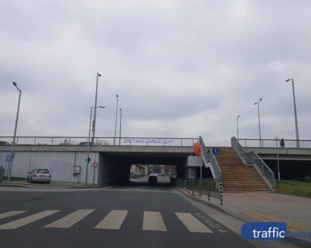 Пловдивчанка твърди, че жена опитала да хвърли кучето си от мост на Марица