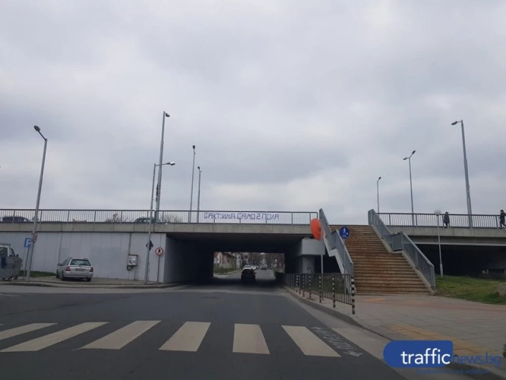 Пловдивчанка твърди, че жена опитала да хвърли кучето си от мост на Марица