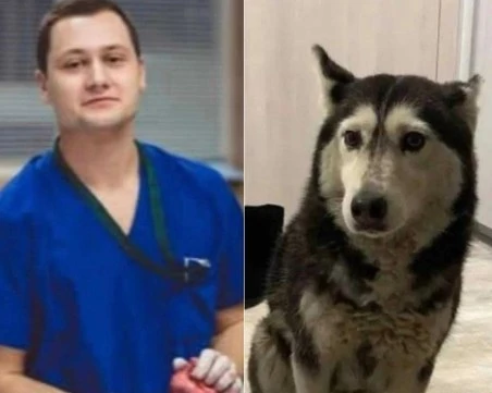 Парична гаранция от 5000 лв. за Ненад Цоневски, прегазил и убил кучето Мая