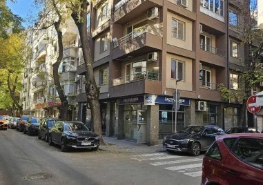 Затворят улица „Ибър заради почистване на дървета