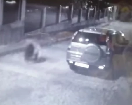 Мечка тича по улиците в Карлово, сигнализираха горските