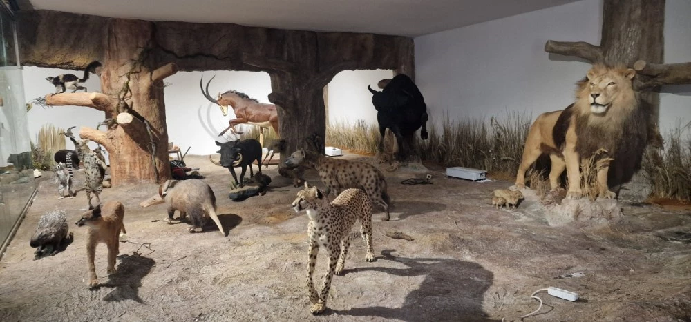 Откриват новата зала „Африка и Австралия