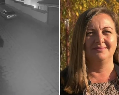 Говорят хората, видели мечката в Карлово ВИДЕО