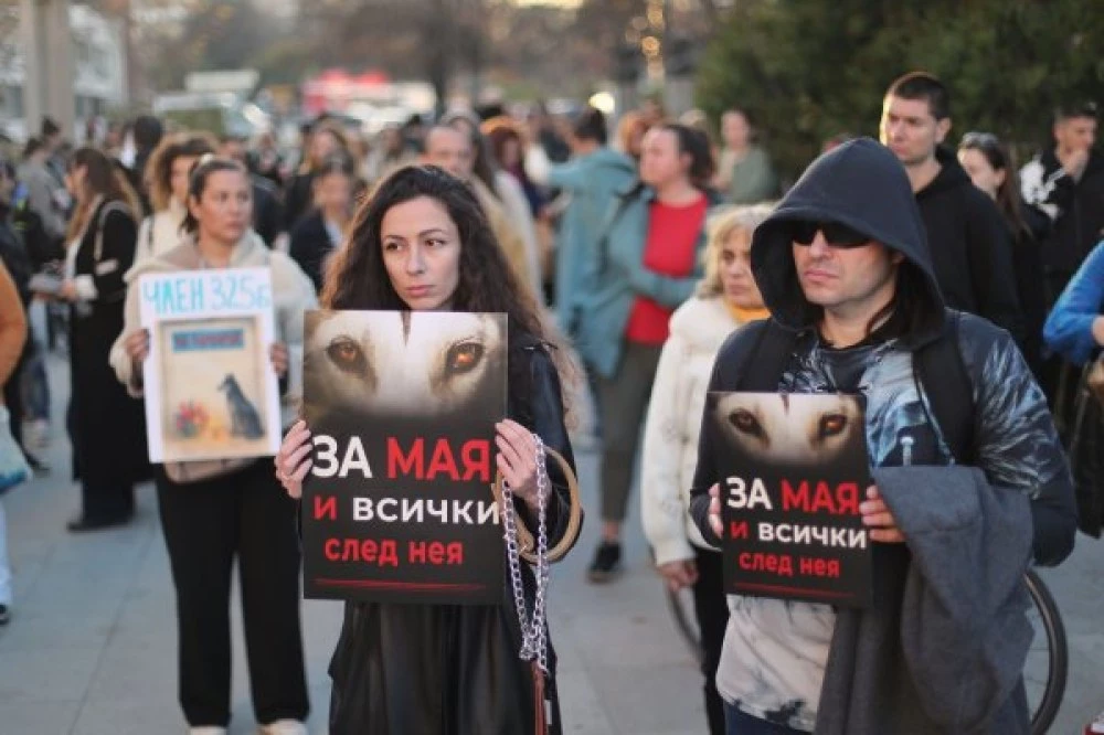 Протести в София и Варна срещу жестокостта към животни