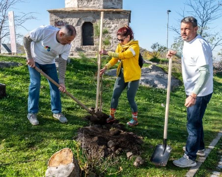Засадиха 100 дръвчета на Сахат тепе