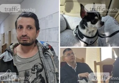 Окончателно: Връщат кучето Мауси на собственика му