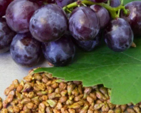 Безсмъртие от гроздови семки: Открит ли е лек против стареене?