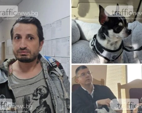 Окончателно: Връщат кучето Мауси на собственика му