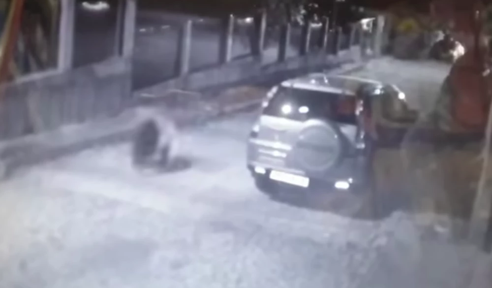 Осигуряват денонощни патрули в Карлово заради забелязаната мечка