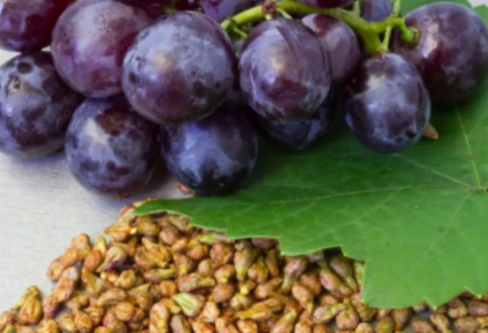 Безсмъртие от гроздови семки: Открит ли е лек против стареене?