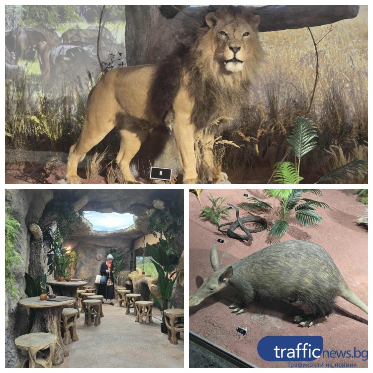 Невъзможното възможно: Африка се пренесе в сърцето на Пловдив  СНИМКИ