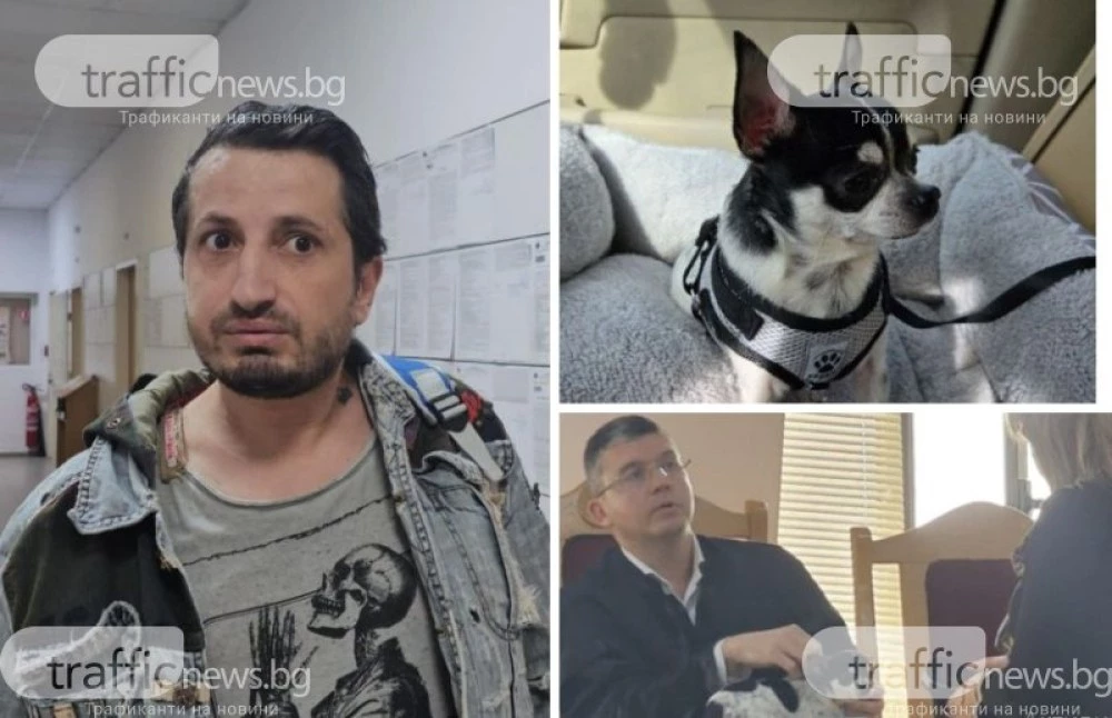 Окончателно: Връщат кучето Мауси на собственика му