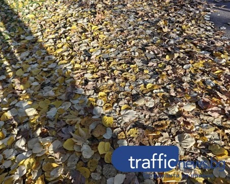 Листопад по пловдивските улици: граждани роптаят, Общината – чистим постоянно