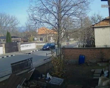 Нов клип с прегазено куче разбуни социалните мрежи ВИДЕО