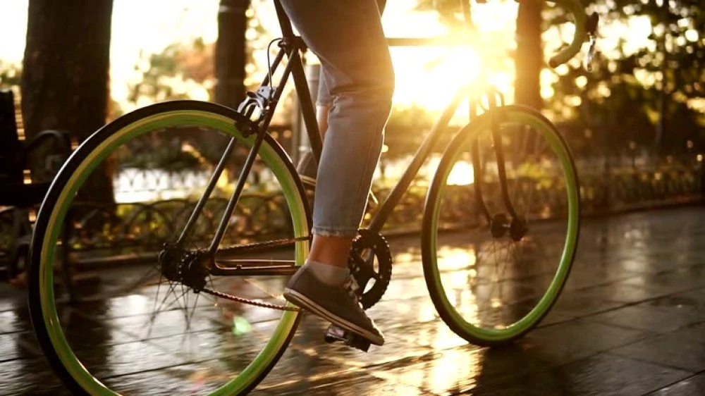 Дай нов живот на стария си велосипед: Община Пловдив с инициатива за даряване на колела