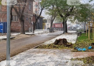 Предлагат нови правила за зелената система в Пловдив: По-високи санкции, повече контрол и по-строги правила за строителите