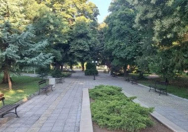 Засаждат над 2000 дървета и почти 60 000 храсти в София