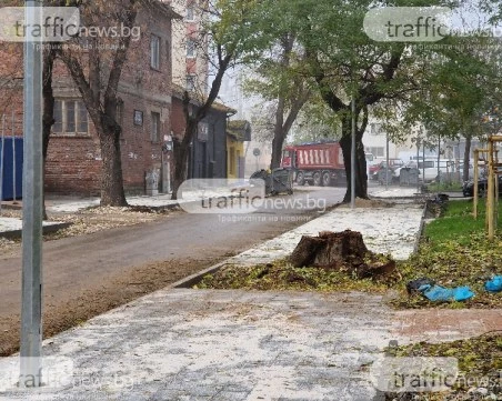 Предлагат нови правила за зелената система в Пловдив: По-високи санкции, повече контрол и по-строги правила за строителите