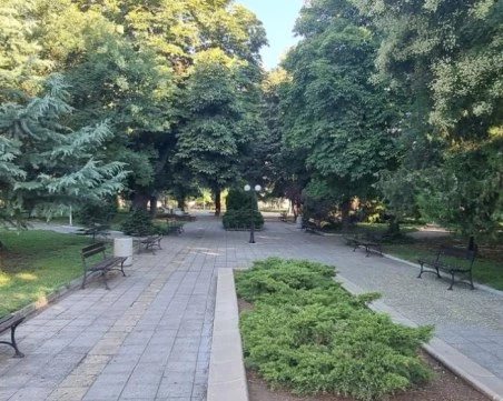 Засаждат над 2000 дървета и почти 60 000 храсти в София