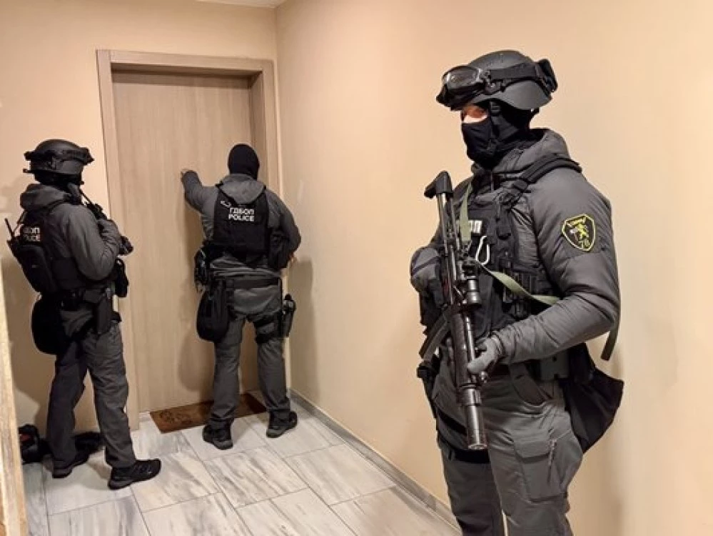 Международната спецоперация за трафик на антики координирана от София ВИДЕО