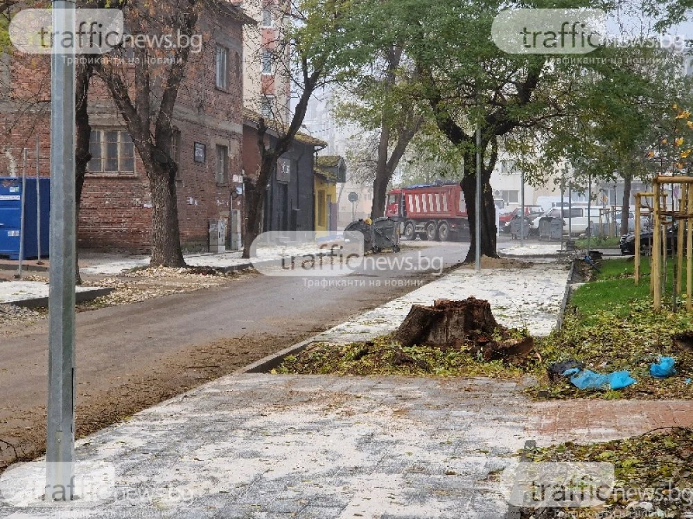 Предлагат нови правила за зелената система в Пловдив: По-високи санкции, повече контрол и по-строги правила за строителите