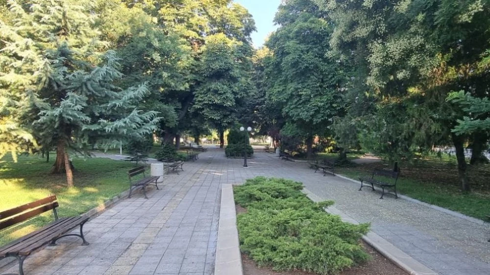 Засаждат над 2000 дървета и почти 60 000 храсти в София