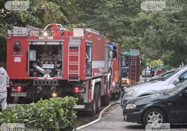 43 пожара са загасени в страната през изминалото денонощие, двама са пострадали