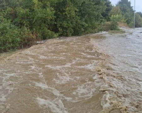 Повече от десет къщи са наводнени в петричкото село Рупите