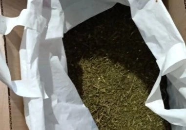 Иззеха над 30 кг марихуана при спецоперация в Стара Загора