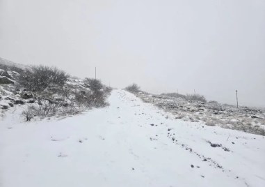 Сняг заваля на Витоша