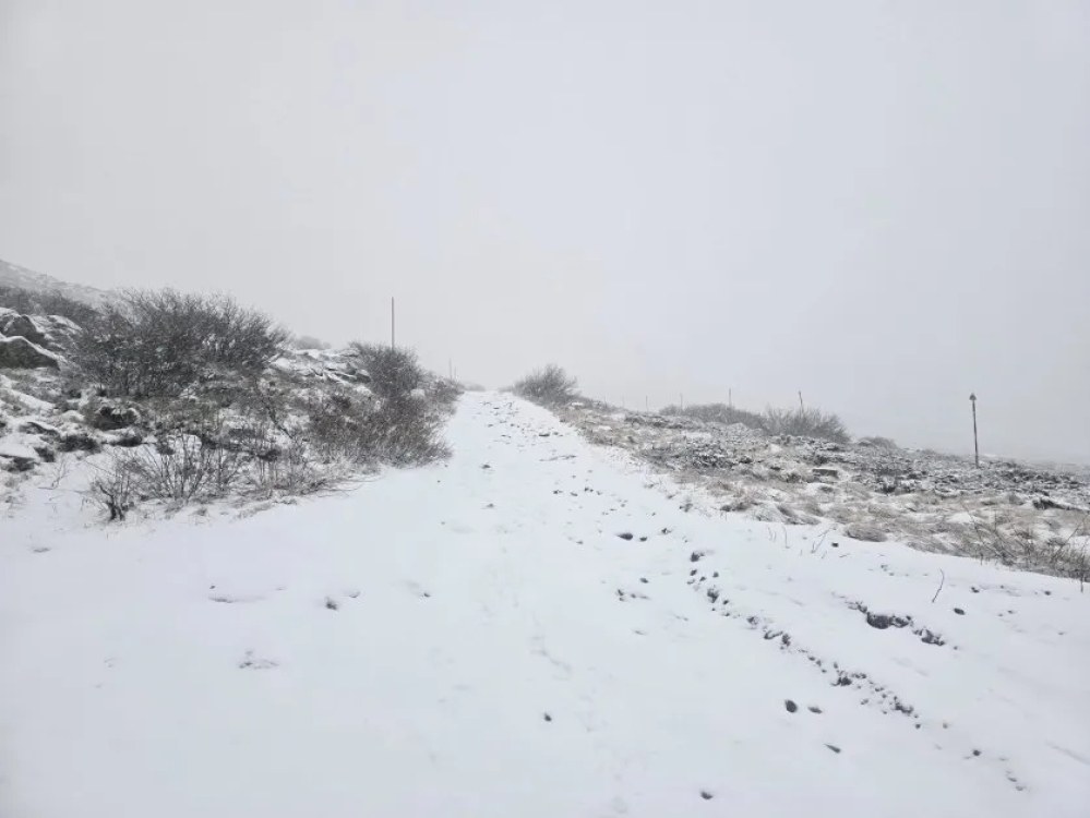 Сняг заваля на Витоша