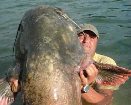 Рибарската общност скърби! Почина пловдивчанинът, уловил най-големия сом в България