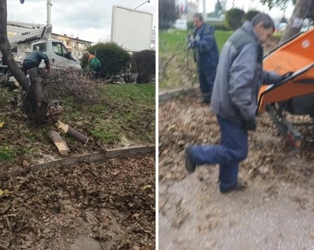 Пловдивчани и ОП 