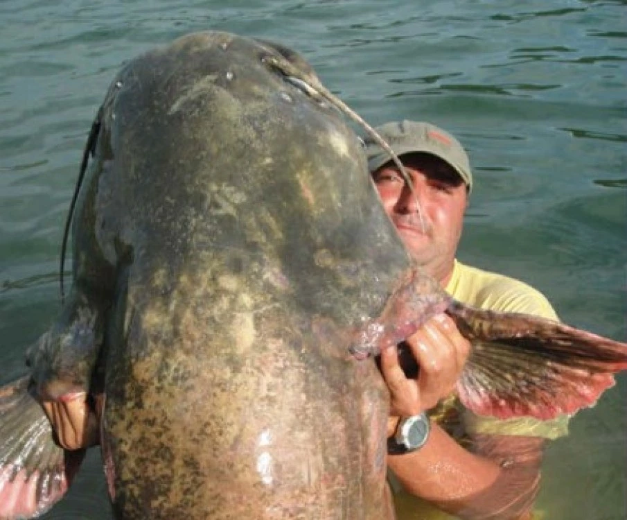 Рибарската общност скърби! Почина пловдивчанинът, уловил най-големия сом в България