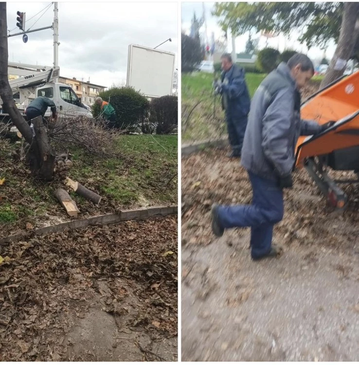 Пловдивчани и ОП 