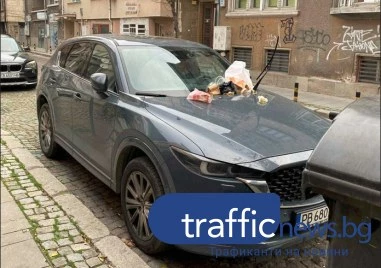 „Наказаха шофьор за неправилно паркиране на инвалидно място в Пловдив