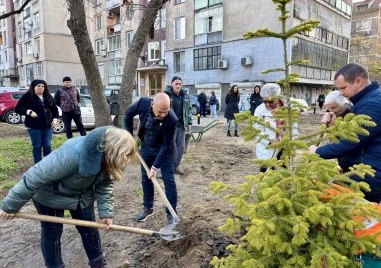 Общината засади 1000 дръвчета на ключови локации в Пловдив